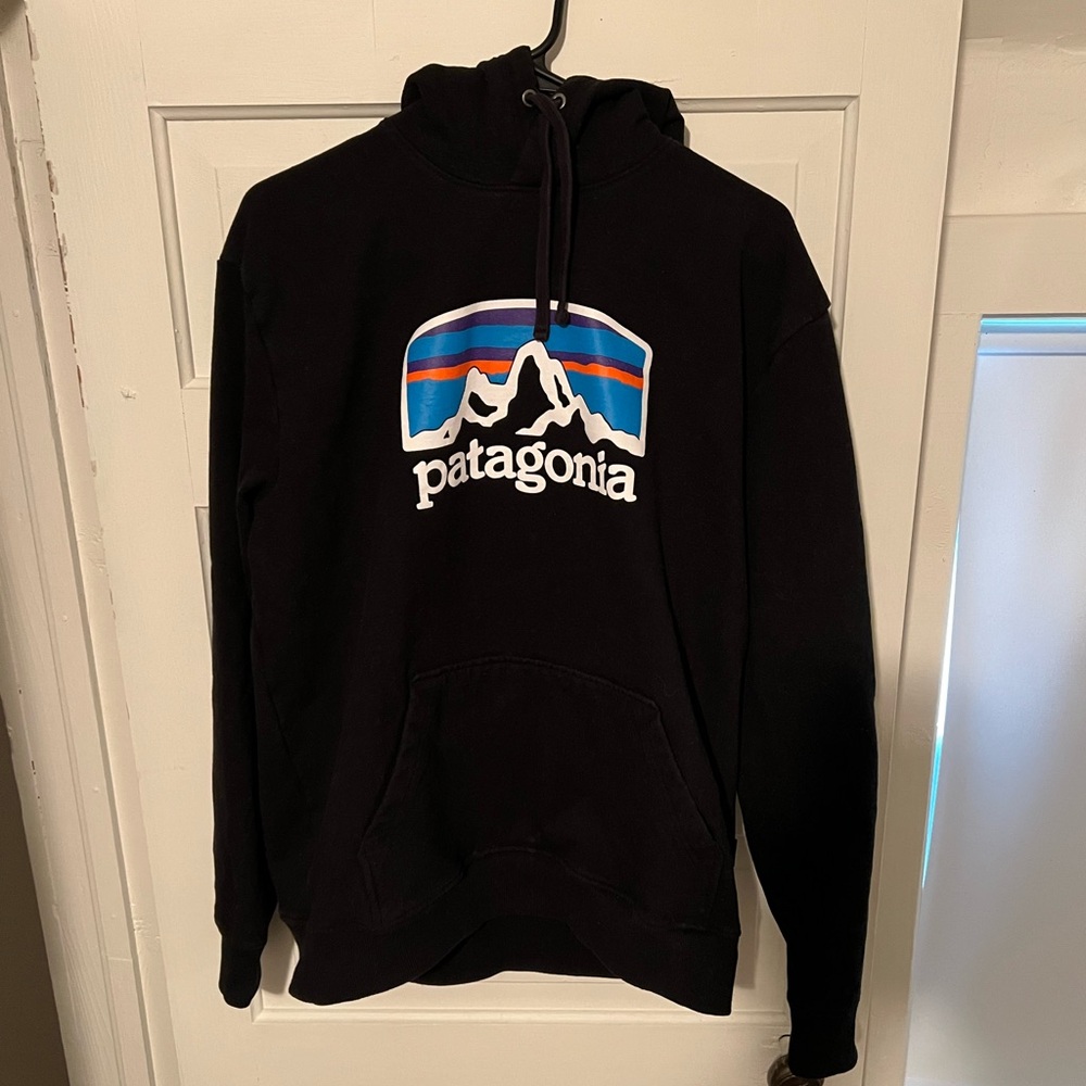 Patagonia Hoodie